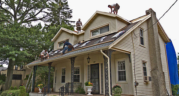 Best Roof Leak Repair  in Pilot Mountain, NC